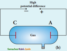 Samacheer Kalvi 12th Physics Guide Chapter 8 Atomic and Nuclear Physics 51