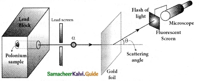Samacheer Kalvi 12th Physics Guide Chapter 8 Atomic and Nuclear Physics 54