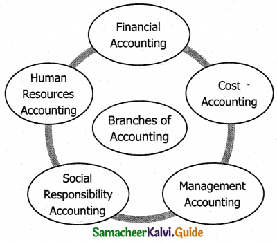Samacheer Kalvi 11th Accountancy Guide Chapter 1 Introduction to Accounting 3