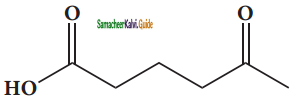 Samacheer Kalvi 11th Chemistry Guide Chapter 11 Fundamentals of Organic Chemistry 21