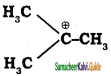 Samacheer Kalvi 11th Chemistry Guide Chapter 12 Basic Concepts of Organic Reactions 13