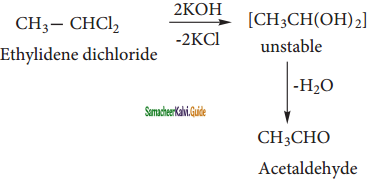 Samacheer Kalvi 11th Chemistry Guide Chapter 14 Haloalkanes and Haloarenes 135