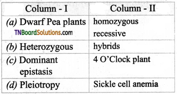 TN Board 12th Bio Botany Important Questions Chapter 2 Classical Genetics 9
