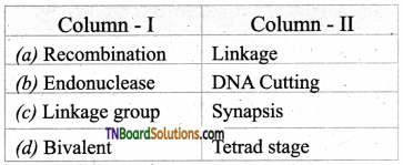TN Board 12th Bio Botany Important Questions Chapter 3 Chromosomal Basis of Inheritance 11