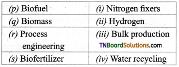 TN Board 12th Bio Botany Important Questions Chapter 4 Principles and Processes of Biotechnology 10