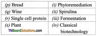 TN Board 12th Bio Botany Important Questions Chapter 4 Principles and Processes of Biotechnology 9