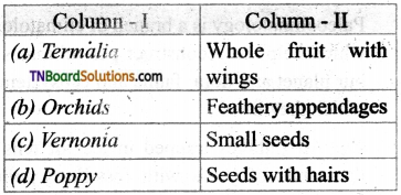TN Board 12th Bio Botany Important Questions Chapter 6 Principles of Ecology 11