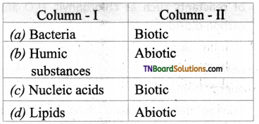 TN Board 12th Bio Botany Important Questions Chapter 7 Ecosystem 11