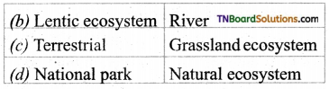 TN Board 12th Bio Botany Important Questions Chapter 7 Ecosystem 15