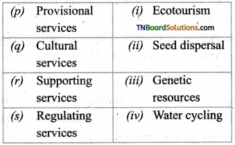 TN Board 12th Bio Botany Important Questions Chapter 7 Ecosystem 8