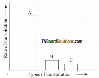 TN Board 11th Bio Botany Important Questions Chapter 11 Transport in Plants 18