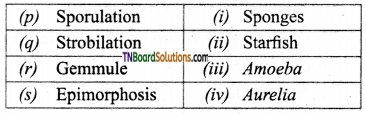 TN Board 12th Bio Zoology Important Questions Chapter 1 Reproduction in Organisms 10