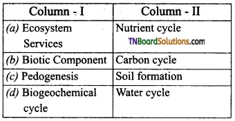 TN Board 12th Bio Zoology Important Questions Chapter 11 Biodiversity and its Conservation 11