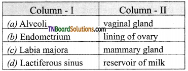 TN Board 12th Bio Zoology Important Questions Chapter 2 Human Reproduction 9