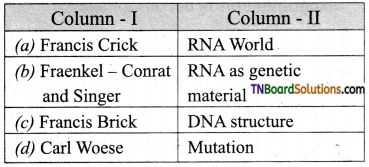 TN Board 12th Bio Zoology Important Questions Chapter 5 Molecular Genetics 10