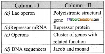 TN Board 12th Bio Zoology Important Questions Chapter 5 Molecular Genetics 13