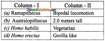 TN Board 12th Bio Zoology Important Questions Chapter 6 Evolution 12