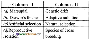 TN Board 12th Bio Zoology Important Questions Chapter 6 Evolution 8