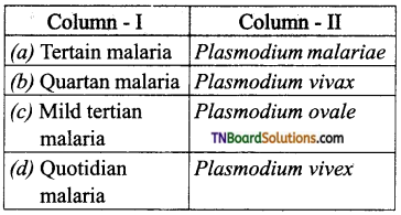 TN Board 12th Bio Zoology Important Questions Chapter 7 Human Health and Diseases 12