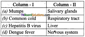 TN Board 12th Bio Zoology Important Questions Chapter 7 Human Health and Diseases 13