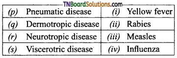 TN Board 12th Bio Zoology Important Questions Chapter 7 Human Health and Diseases 8