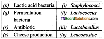 TN Board 12th Bio Zoology Important Questions Chapter 8 Microbes in Human Welfare 3