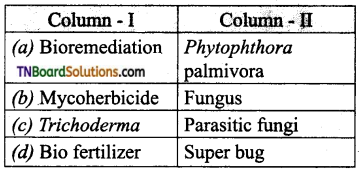 TN Board 12th Bio Zoology Important Questions Chapter 8 Microbes in Human Welfare 5
