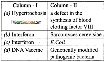 TN Board 12th Bio Zoology Important Questions Chapter 9 Applications of Biotechnology 8