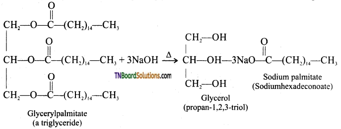TN Board 12th Chemistry Important Questions Chapter 11 Hydroxy Compounds and Ethers 22