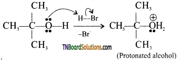 TN Board 12th Chemistry Important Questions Chapter 11 Hydroxy Compounds and Ethers 35