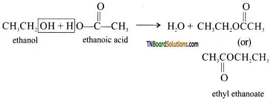 TN Board 12th Chemistry Important Questions Chapter 11 Hydroxy Compounds and Ethers 58
