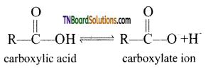 TN Board 12th Chemistry Important Questions Chapter 12 Carbonyl Compounds and Carboxylic Acids 143