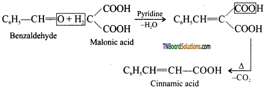 TN Board 12th Chemistry Important Questions Chapter 12 Carbonyl Compounds and Carboxylic Acids 156