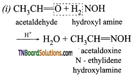 TN Board 12th Chemistry Important Questions Chapter 12 Carbonyl Compounds and Carboxylic Acids 46
