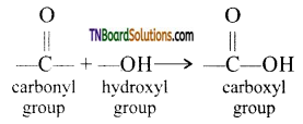 TN Board 12th Chemistry Important Questions Chapter 12 Carbonyl Compounds and Carboxylic Acids 96