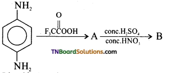 TN Board 12th Chemistry Important Questions Chapter 13 Organic Nitrogen Compounds 97