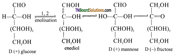 TN Board 12th Chemistry Important Questions Chapter 14 Biomolecules 11
