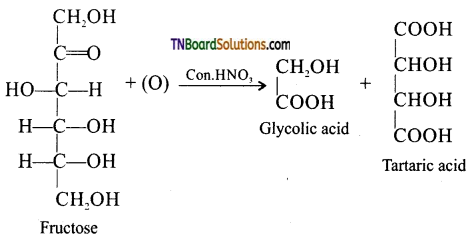 TN Board 12th Chemistry Important Questions Chapter 14 Biomolecules 16