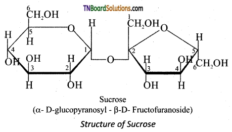 TN Board 12th Chemistry Important Questions Chapter 14 Biomolecules 20