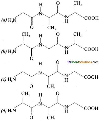 TN Board 12th Chemistry Important Questions Chapter 14 Biomolecules 34
