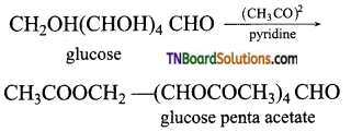 TN Board 12th Chemistry Important Questions Chapter 14 Biomolecules 5