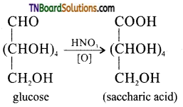 TN Board 12th Chemistry Important Questions Chapter 14 Biomolecules 8