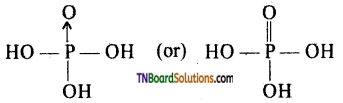 TN Board 12th Chemistry Important Questions Chapter 3 p-Block Elements – II 57