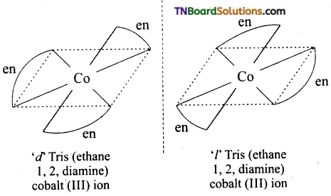 TN Board 12th Chemistry Important Questions Chapter 5 Coordination Chemistry 24