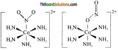 TN Board 12th Chemistry Important Questions Chapter 5 Coordination Chemistry 3