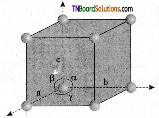 TN Board 12th Chemistry Important Questions Chapter 6 Solid State 1