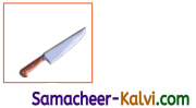 Samacheer Kalvi 3rd Standard English Guide Term 1 Chapter 1 Our Kitchen 14
