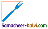 Samacheer Kalvi 3rd Standard English Guide Term 1 Chapter 1 Our Kitchen 15