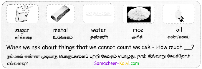 Samacheer Kalvi 3rd Standard English Guide Term 1 Chapter 1 Our Kitchen 36