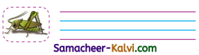 Samacheer Kalvi 3rd Standard English Guide Term 1 Chapter 2 The Insects 18